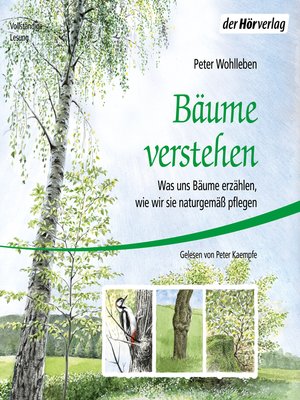 cover image of Bäume verstehen